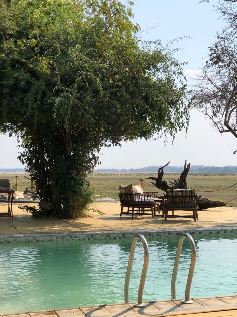 Infinity pool overlooking savanna